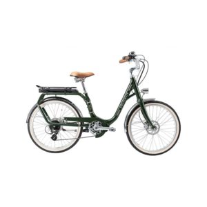 À la recherche d'un vélo électrique urbain et polyvalent ? Découvrez le Carmel S de chez T-Bird dans notre boutique située à Chambéry.